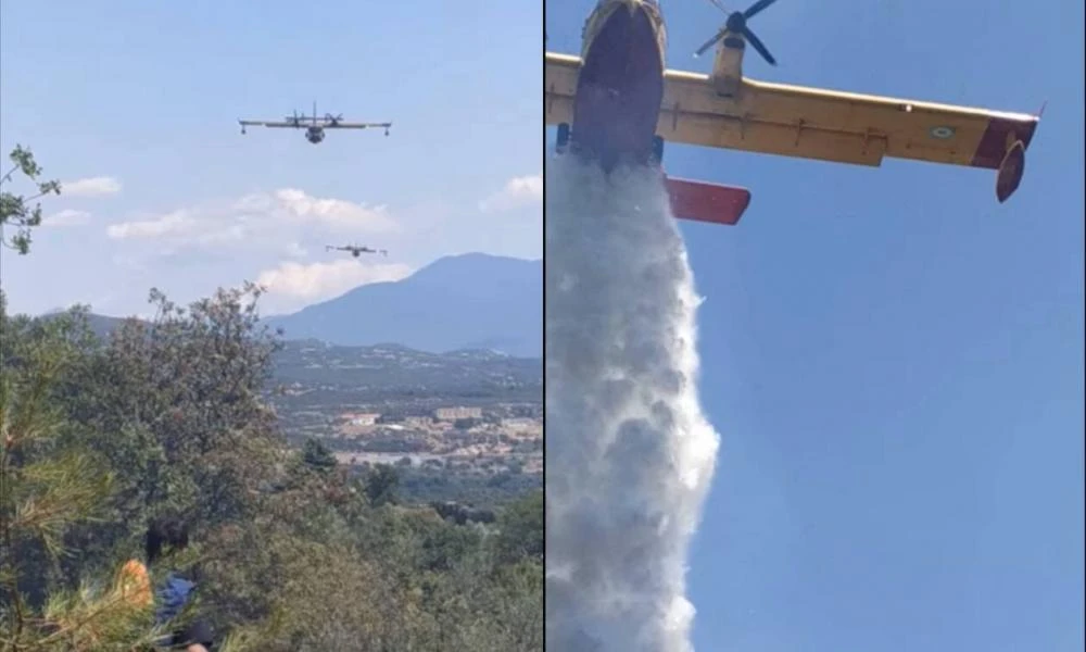 Φωτιά στις Σέρρες: Καναντέρ κάνει ρίψη νερού...πάνω από πυροσβέστες-Η στιγμή που τρέχουν να «γλιτώσουν»